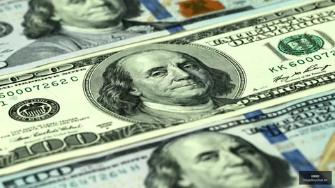 英雄联盟12：战队逆袭，剑指冠军
